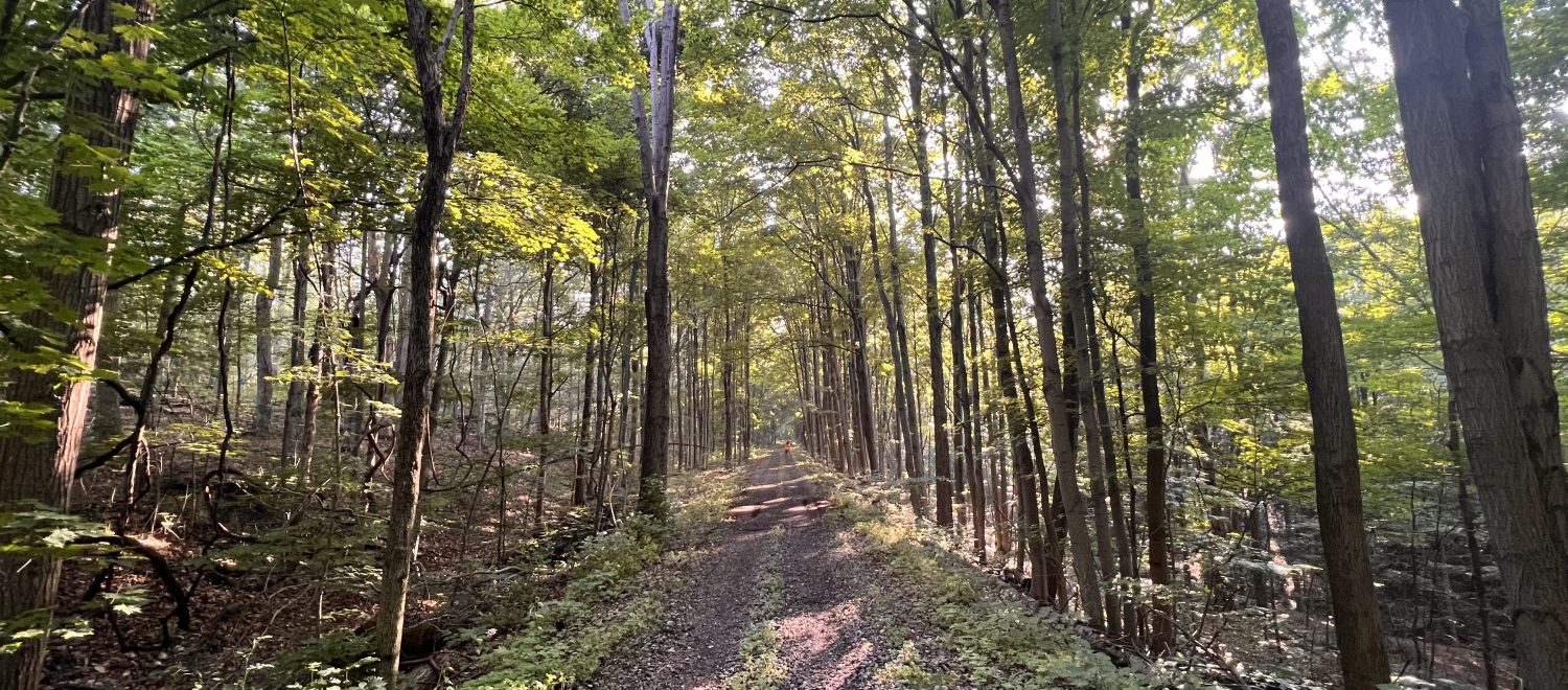 The Alison Wells Ney Nature Trail