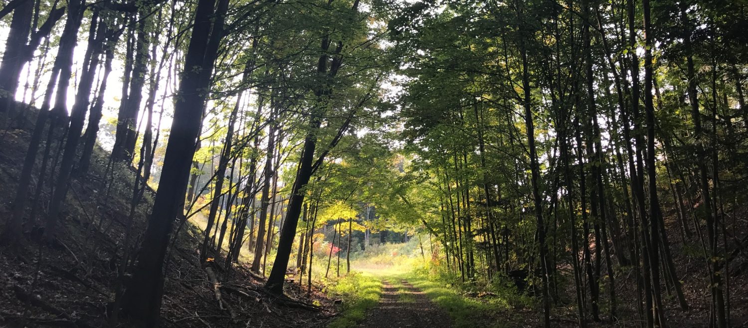 A sunrise view of the Alison Wells Ney Trail